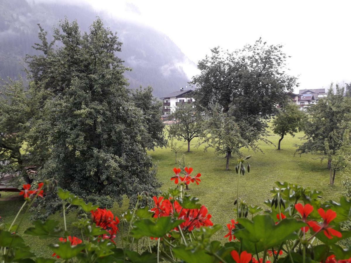 Nieslerhof Villa Mayrhofen Exterior foto